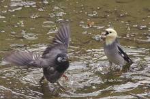 20111017_110.jpg