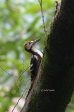 20111023_028.jpg