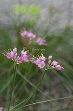 20111025_036.jpg