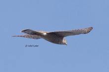 20111101_042.jpg