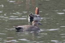 20111112_093.jpg