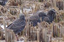 20111120_064.jpg