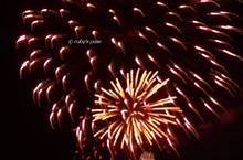 20111120_085.jpg