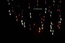 20111120_087.jpg