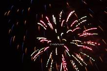 20111120_089.jpg