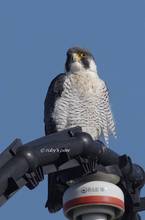 20111126_066.jpg