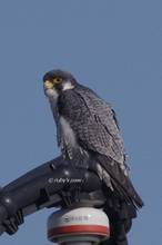 20111126_087.jpg