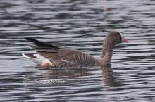 20111127_047.jpg
