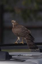 20111127_091.jpg