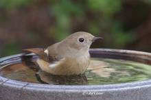 20111129_017.jpg