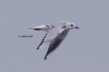 20111210_069.jpg