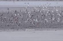 20111210_114.jpg