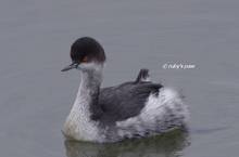 20111211_009.jpg