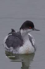 20111211_026.jpg