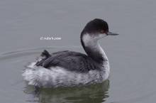 20111211_032.jpg