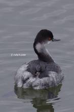 20111211_049.jpg