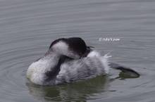 20111211_057.jpg