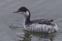 20111211_066.jpg