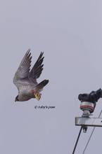 20111217_101.jpg