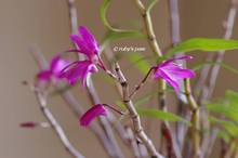 20111221_014.jpg