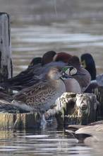 20111229_098.jpg