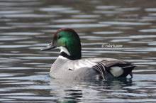 20111229_160.jpg