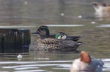20111229_162.jpg