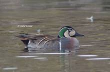 20111229_163.jpg