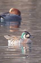 20111229_201.jpg