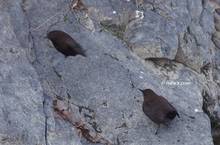 20111229_264.jpg