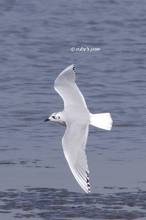 20120107_179.jpg