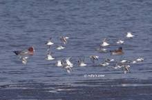 20120107_196.jpg