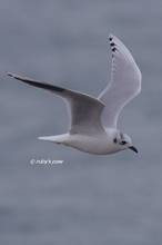 20120122_042.jpg