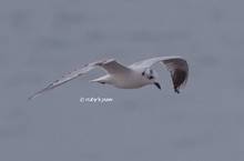 20120122_067.jpg