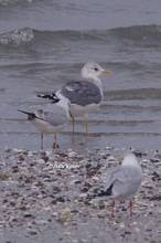 20120122_170.jpg