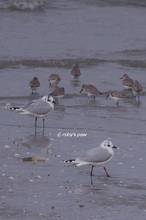 20120122_205.jpg