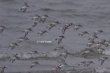 20120122_229.jpg