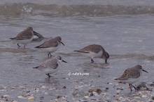 20120122_240.jpg