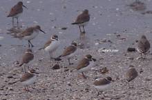 20120122_277.jpg