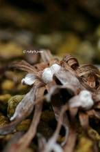 20120125_022.jpg