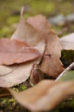 20120125_035.jpg