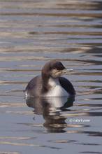 20120127_080.jpg