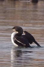 20120127_305.jpg