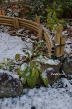 20120202_045.jpg