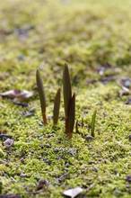 20120203_005.jpg