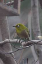 20120203_032.jpg