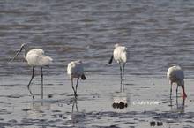 20120211_053.jpg