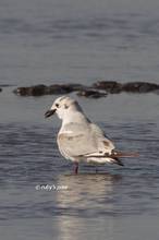 20120211_072.jpg