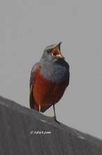 20120211_103.jpg