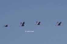 20120212_041.jpg